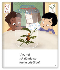 ¡La asombrosa mariposa!