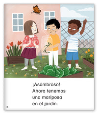 ¡La asombrosa mariposa!