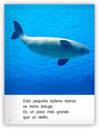 La ballena blanca from Colección Caleidoscopio