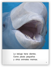 La ballena blanca from Colección Caleidoscopio