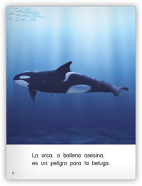 La ballena blanca from Colección Caleidoscopio