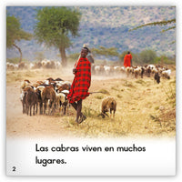 La cabra from Zoozoo Mundo Animal