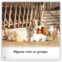 La cabra from Zoozoo Mundo Animal