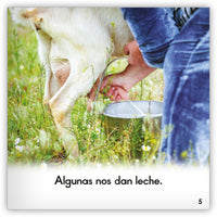 La cabra from Zoozoo Mundo Animal