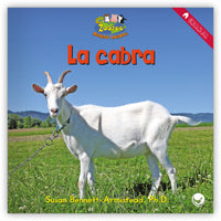 La cabra from Zoozoo Mundo Animal
