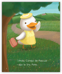 La camisa nueva del Sr. Conejo