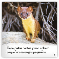 La comadreja from Zoozoo Mundo Animal