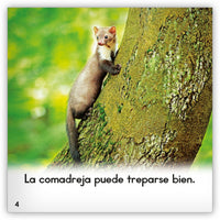 La comadreja from Zoozoo Mundo Animal