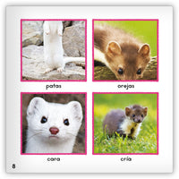 La comadreja from Zoozoo Mundo Animal