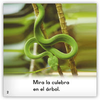 La culebra from Zoozoo Mundo Animal