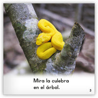 La culebra from Zoozoo Mundo Animal