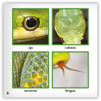 La culebra from Zoozoo Mundo Animal