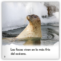 La foca from Zoozoo Mundo Animal