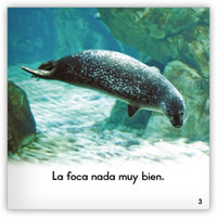 La foca from Zoozoo Mundo Animal