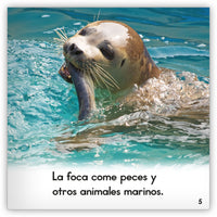 La foca from Zoozoo Mundo Animal