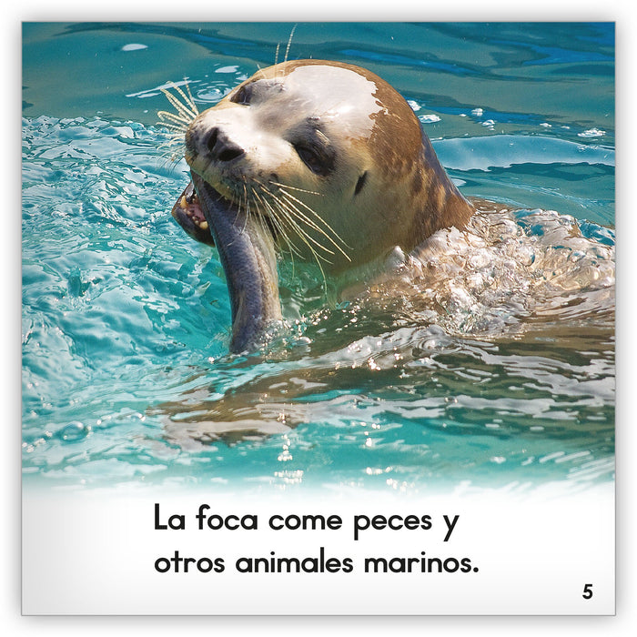 La foca from Zoozoo Mundo Animal