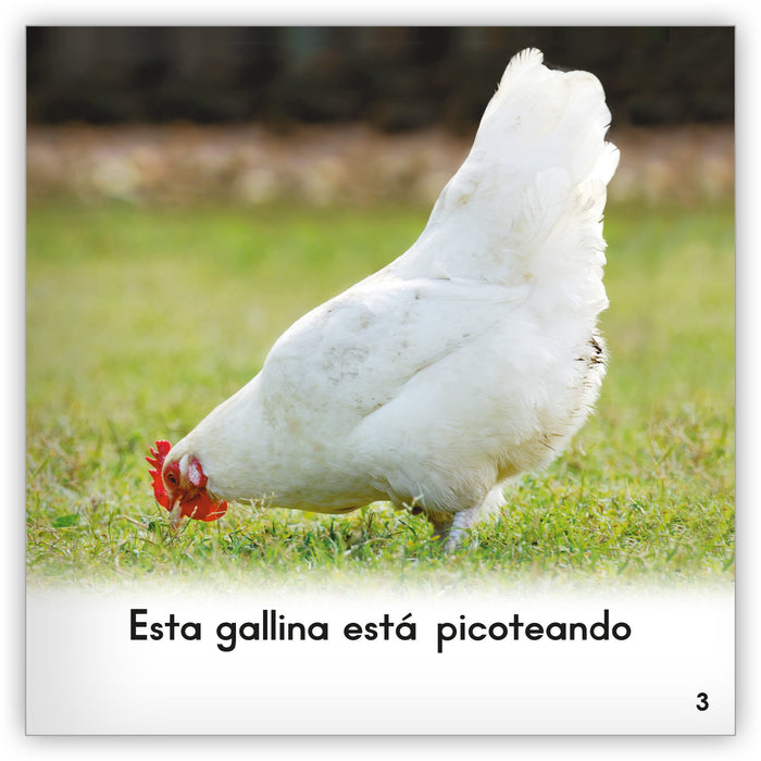 La gallina from Zoozoo Mundo Animal