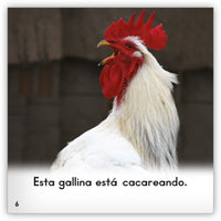 La gallina from Zoozoo Mundo Animal