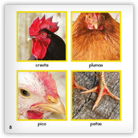 La gallina from Zoozoo Mundo Animal