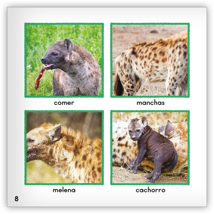 La hiena from Zoozoo Mundo Animal