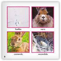 La liebre de montaña from Zoozoo Mundo Animal