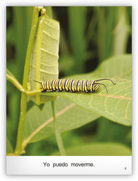 La mariposa Big Book