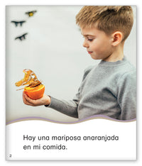 La mariposa se posa en mí