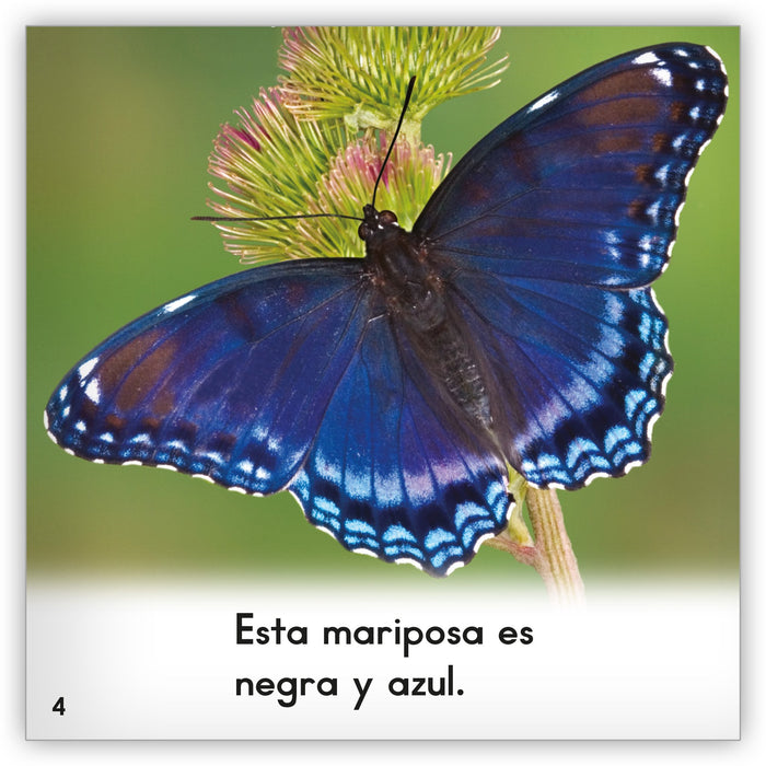 La mariposa from Zoozoo Mundo Animal
