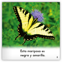La mariposa from Zoozoo Mundo Animal