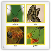 La mariposa from Zoozoo Mundo Animal