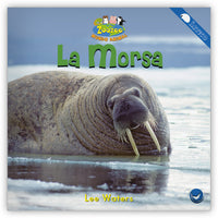 La morsa Leveled Book