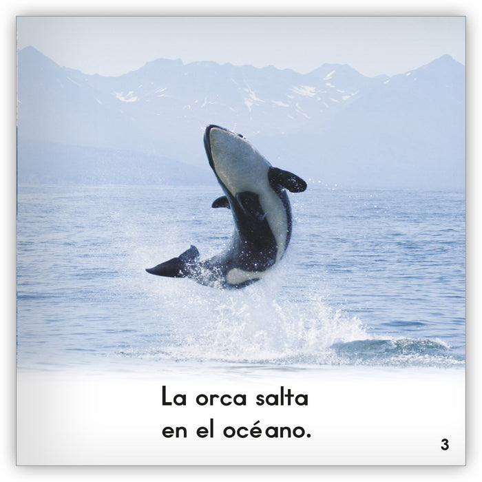 La orca from Zoozoo Mundo Animal