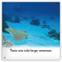 La pastinaca from Zoozoo Mundo Animal