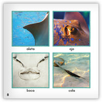 La pastinaca from Zoozoo Mundo Animal