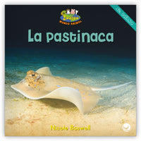 La pastinaca from Zoozoo Mundo Animal