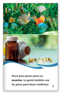 La pesca from Fábulas y el Mundo Real