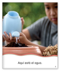 La planta en una maceta