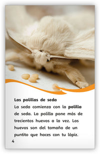 La seda del gusano de seda Leveled Book