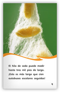 La seda del gusano de seda Leveled Book