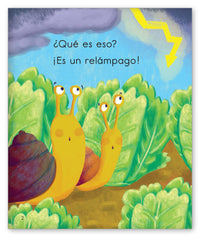 La tormenta y los caracoles from Los Pajaritos de Joy Cowley