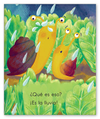 La tormenta y los caracoles from Los Pajaritos de Joy Cowley