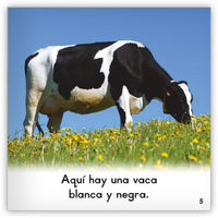 La vaca from Zoozoo Mundo Animal