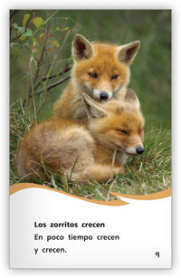 La vida de un zorro from Fábulas y el Mundo Real