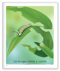 La vida de una mariposa from Los Pajaritos de Joy Cowley