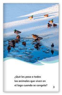 La vida en un lago congelado from Fábulas y el Mundo Real