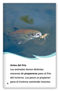 La vida en un lago congelado from Fábulas y el Mundo Real