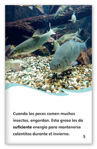 La vida en un lago congelado from Fábulas y el Mundo Real