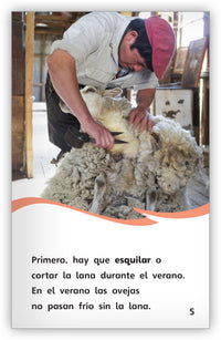 Lana para mi suéter Leveled Book