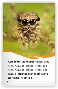 Las arañas from Fábulas y el Mundo Real