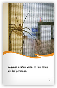 Las arañas from Fábulas y el Mundo Real